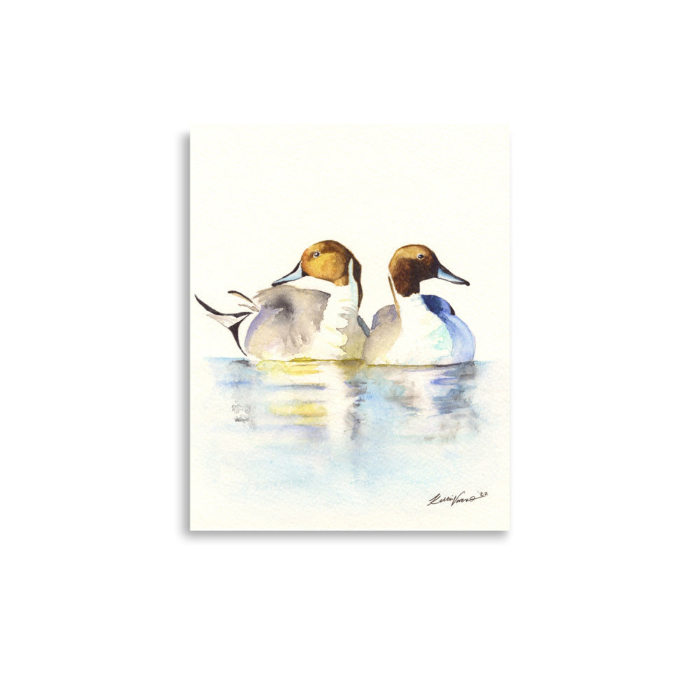 Pintails