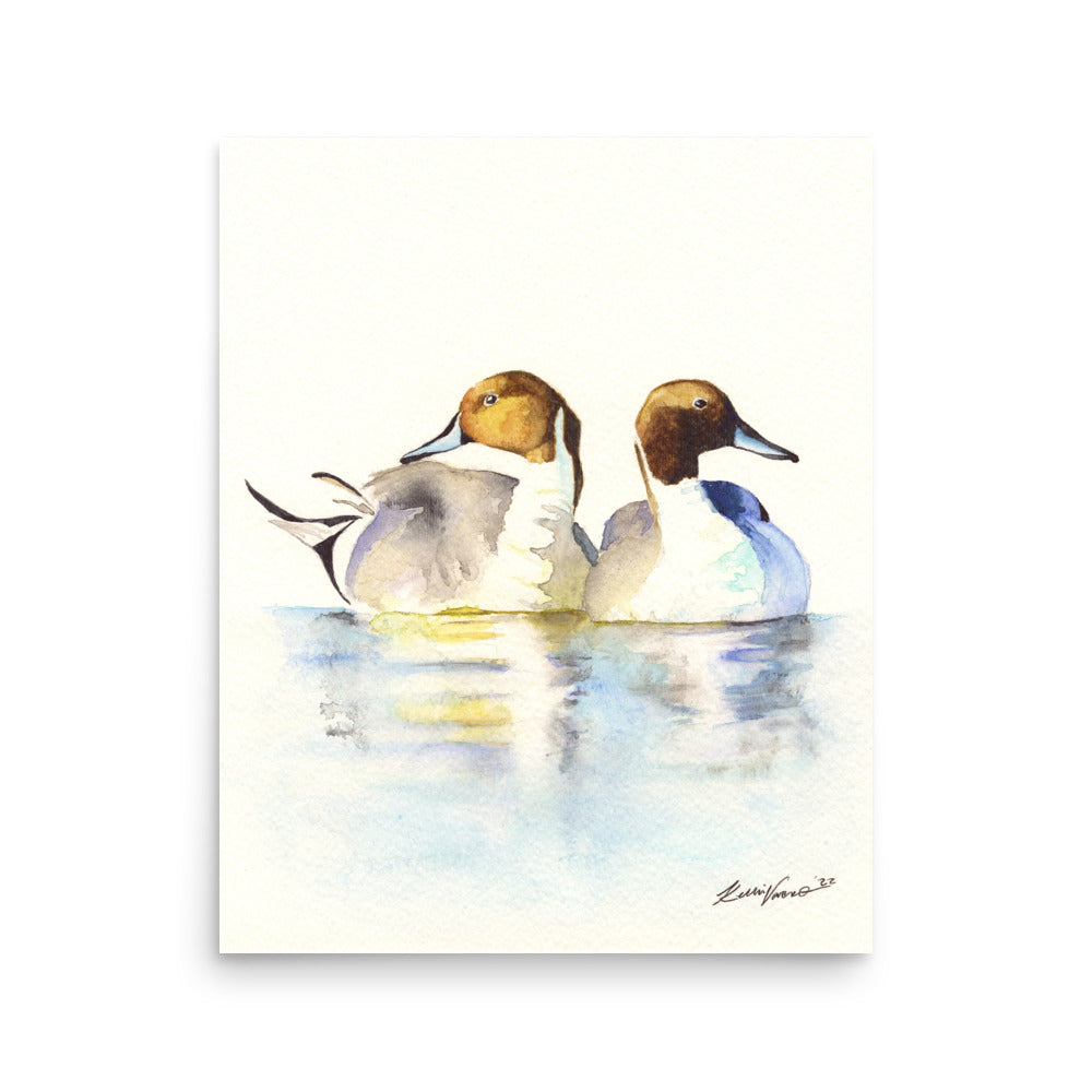 Pintails