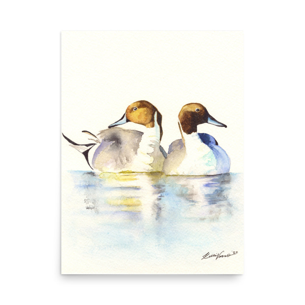 Pintails