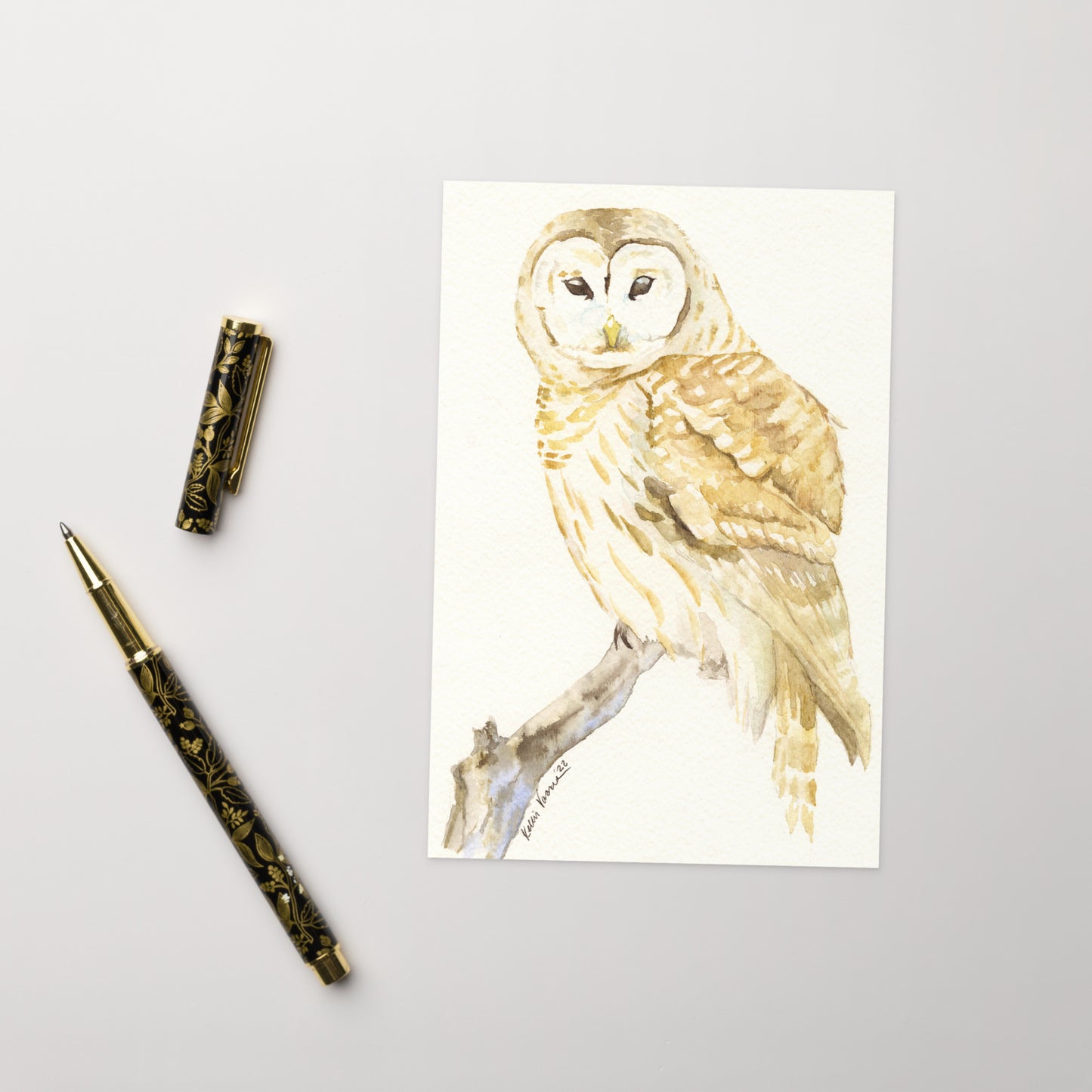 Barred Owl Greeting card