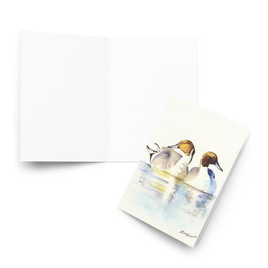 Pintail Ducks Greeting card