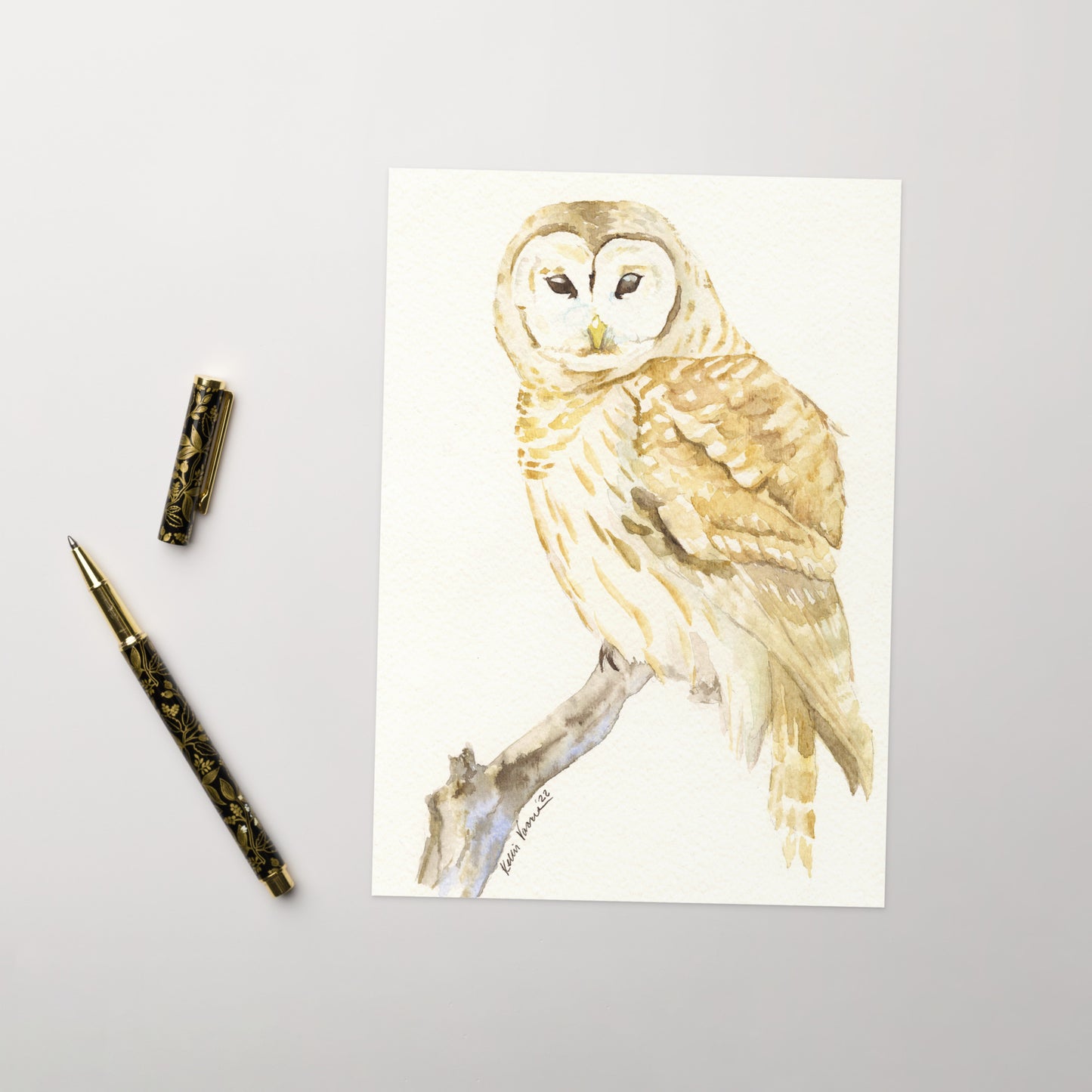 Barred Owl Greeting card